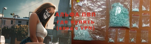 прущие грибы Ханты-Мансийск