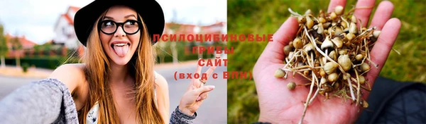 прущий лед Покров