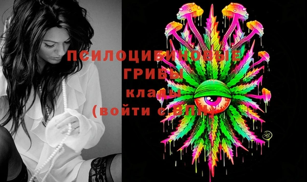 прущие грибы Ханты-Мансийск