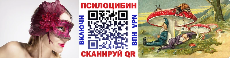 Псилоцибиновые грибы Cubensis  Черногорск 