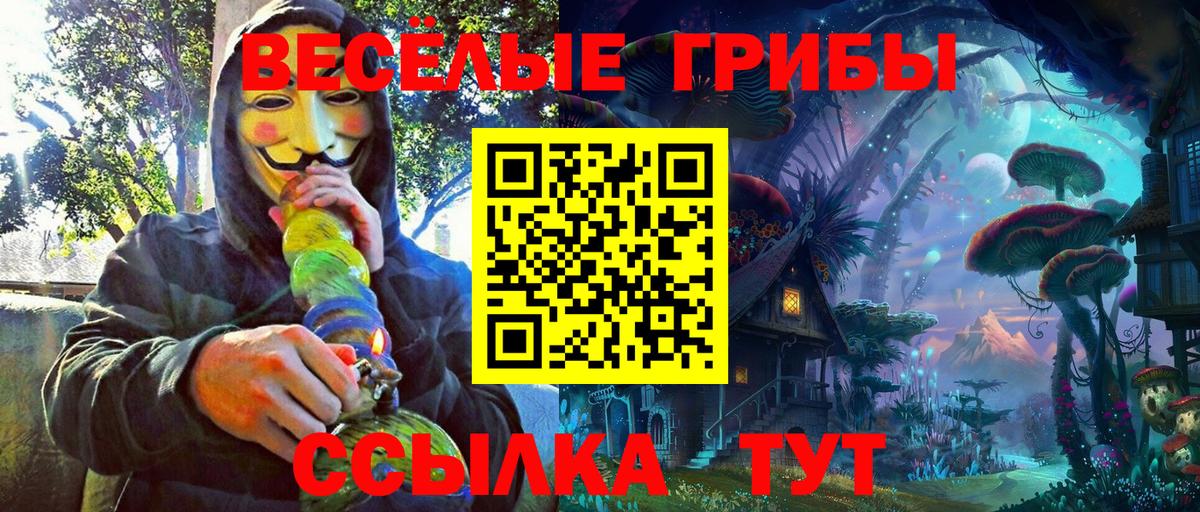 Галлюциногенные грибы прущие грибы  Псилоцибиновые грибы мицелий  Черногорск 