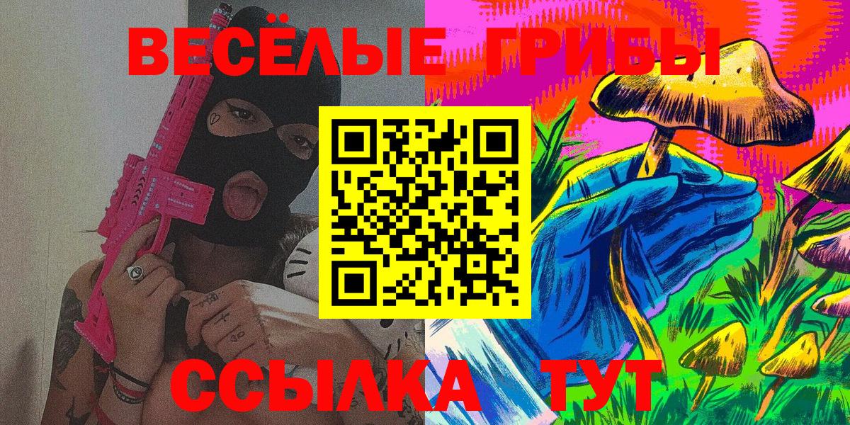 Черногорск  Псилоцибиновые грибы Psilocybine cubensis  Вход с VPN 